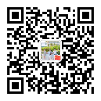 關注微信號